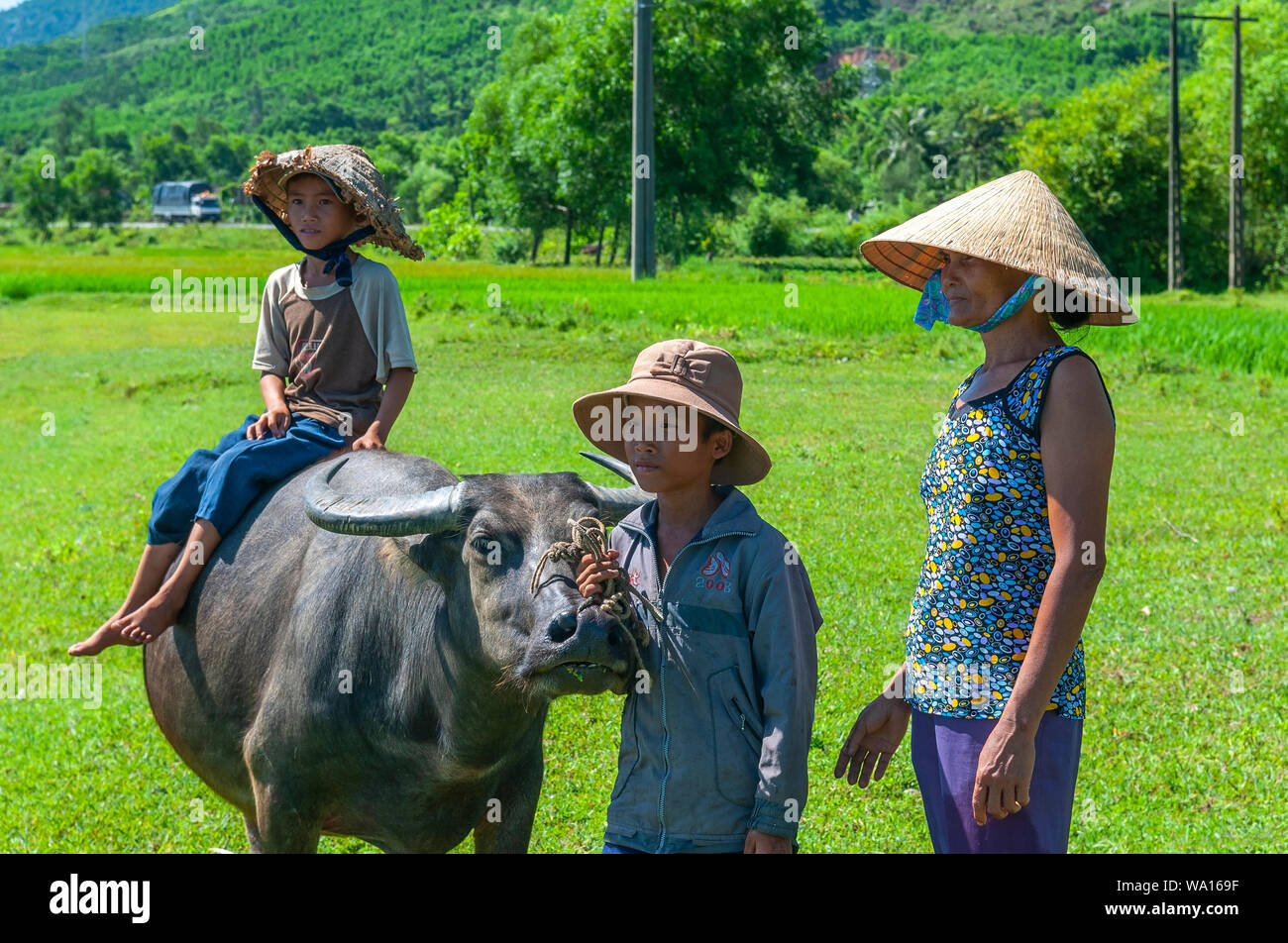 Rural life in central Vietnam on the road Hoi An to Hue with a woman, two children and a domestic water buffalo (Bubalus bubalis) in a rice paddy. Stock Photo