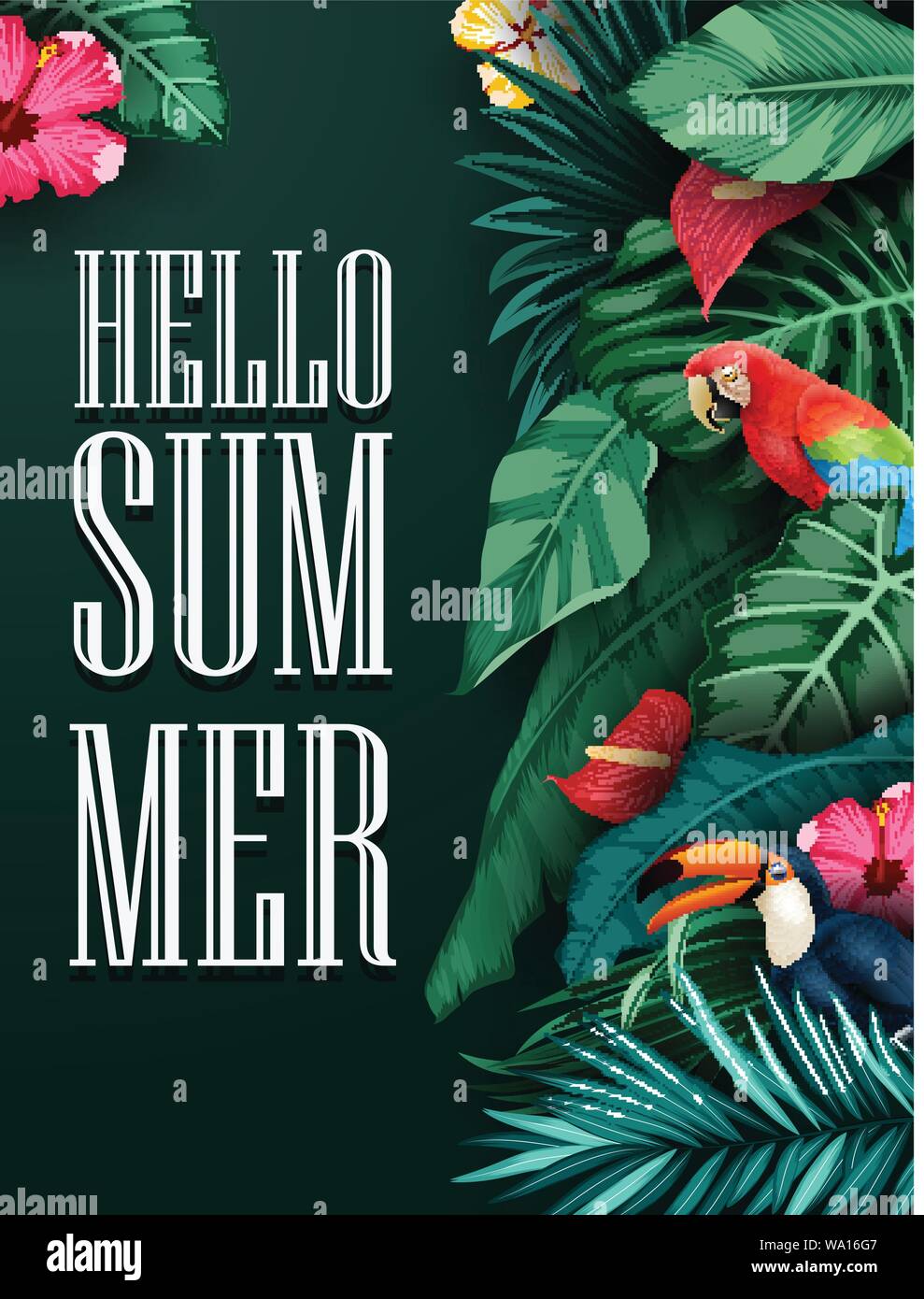 Tropical plants and birds collection set Stock Vector Image & Art - Alamy