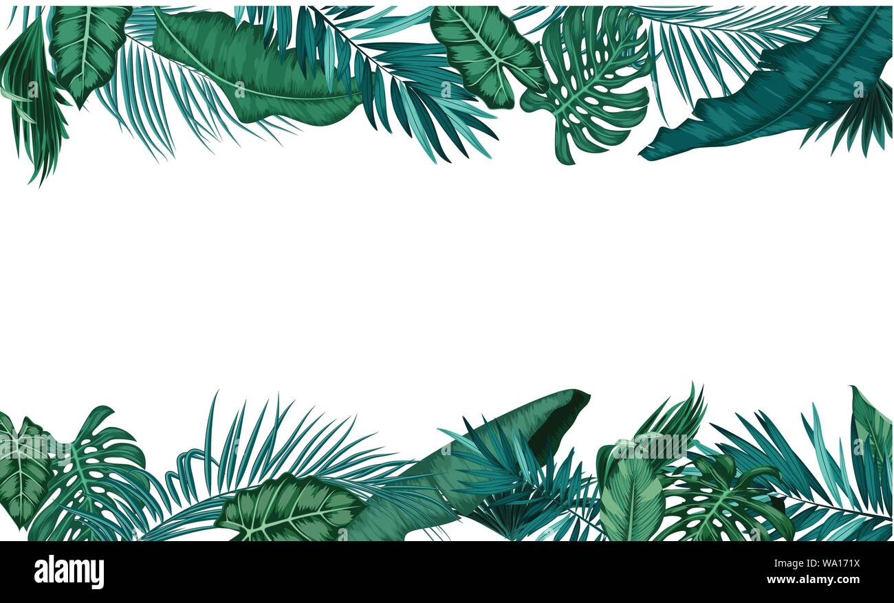 Tropical leaves isolated on white background Stock Vector Image & Art