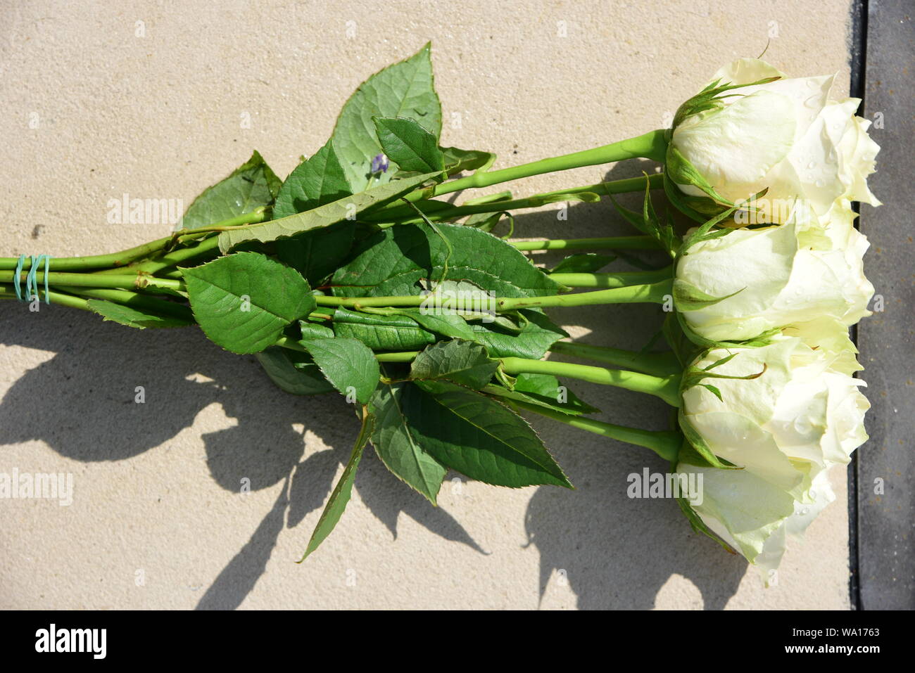 Bunch of flowers Stock Photo Alamy