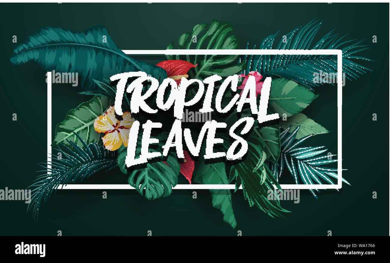 Birds collection and tropical plants background Stock Vector