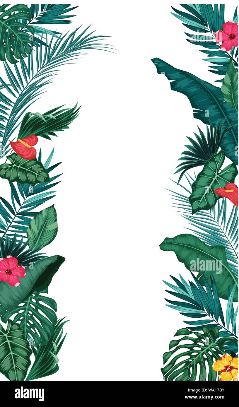 Tropical leaves isolated on white background Stock Vector Image & Art ...