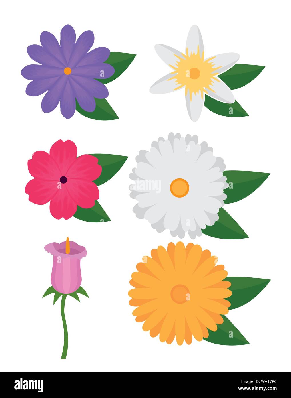 set of exotic flowers plant with tropical leaves Stock Vector Image ...