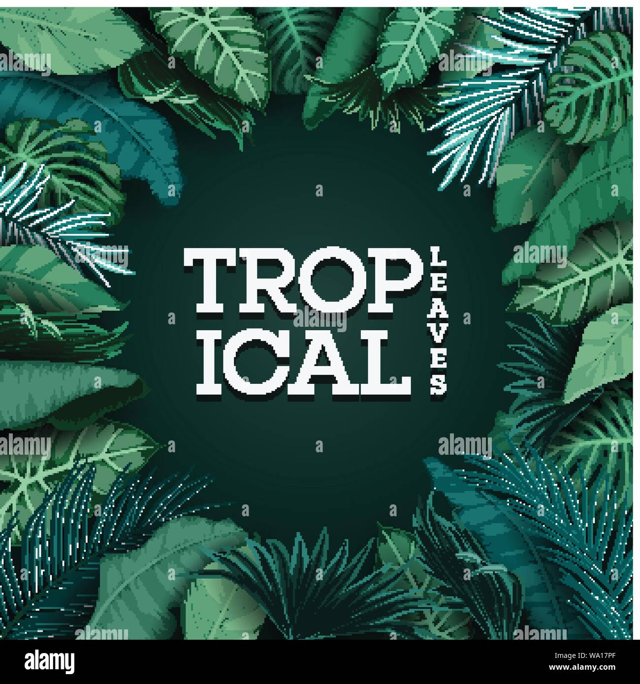 Tropical leaves isolated on black background Stock Vector Image & Art ...