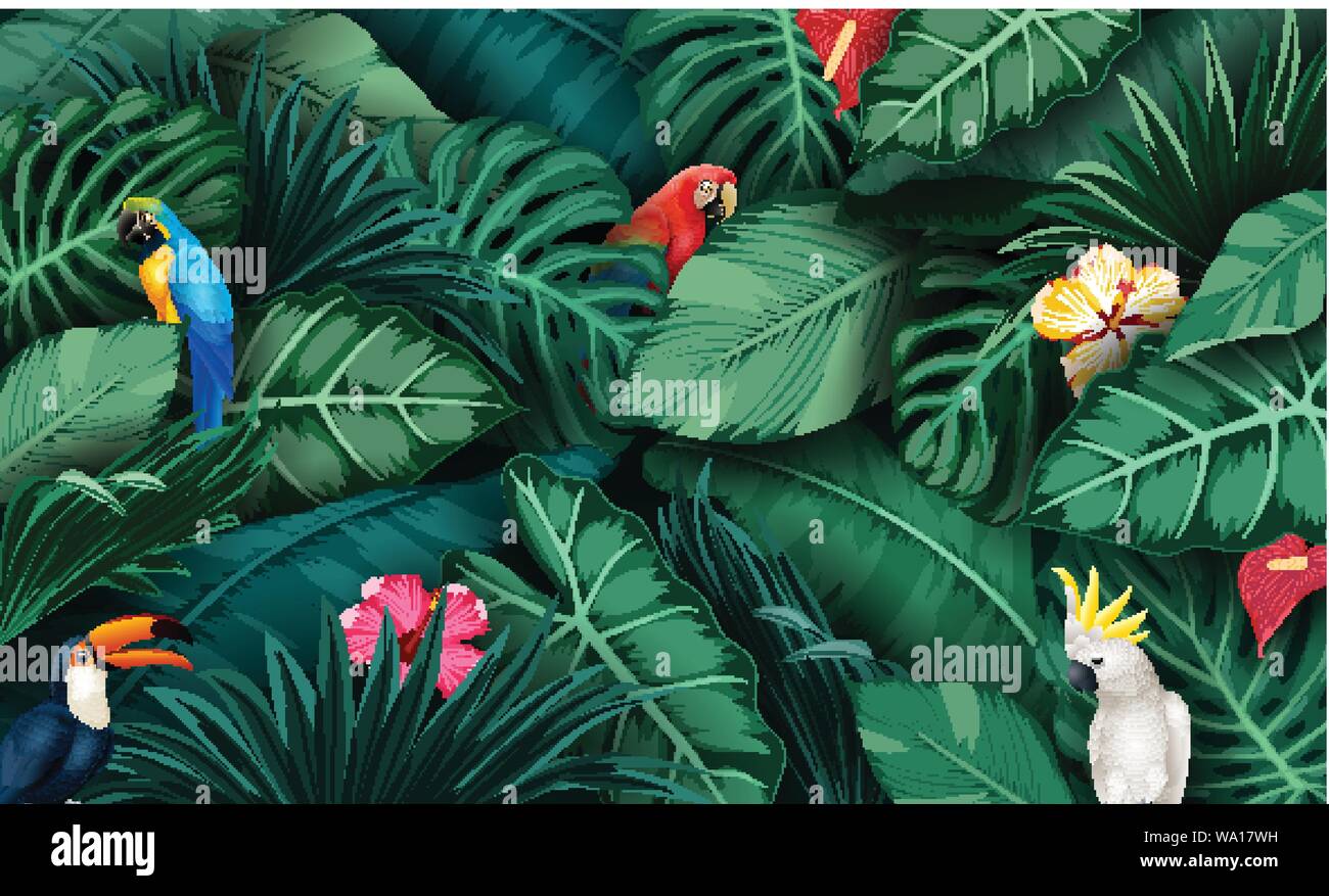 Tropical plants and birds collection set Stock Vector Image & Art - Alamy