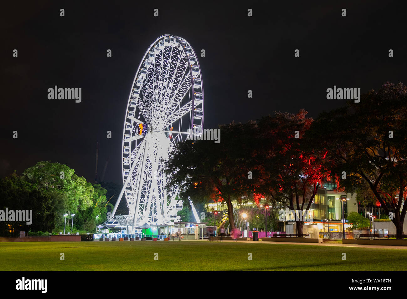 lLow angle view of Wheel of Brisbane at night, Brisbane, Queensland