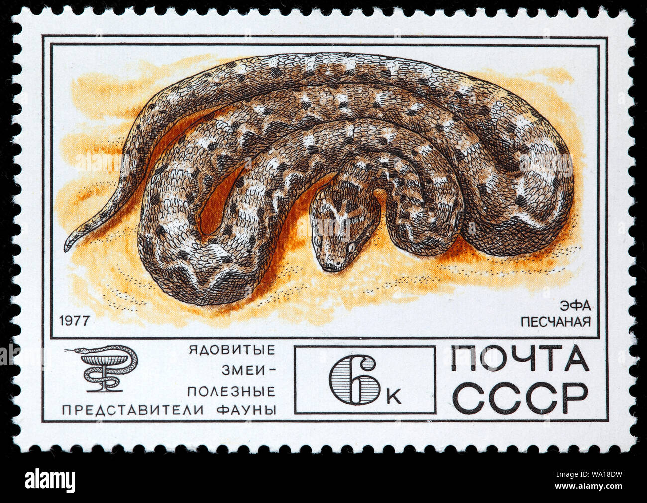 Saw-scaled viper, Echis carinatus, venomous snake, postage stamp, Russia, USSR, 1977 Stock Photo