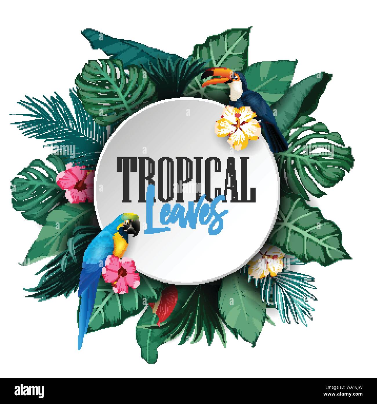Birds collection and tropical plants background Stock Vector Image ...