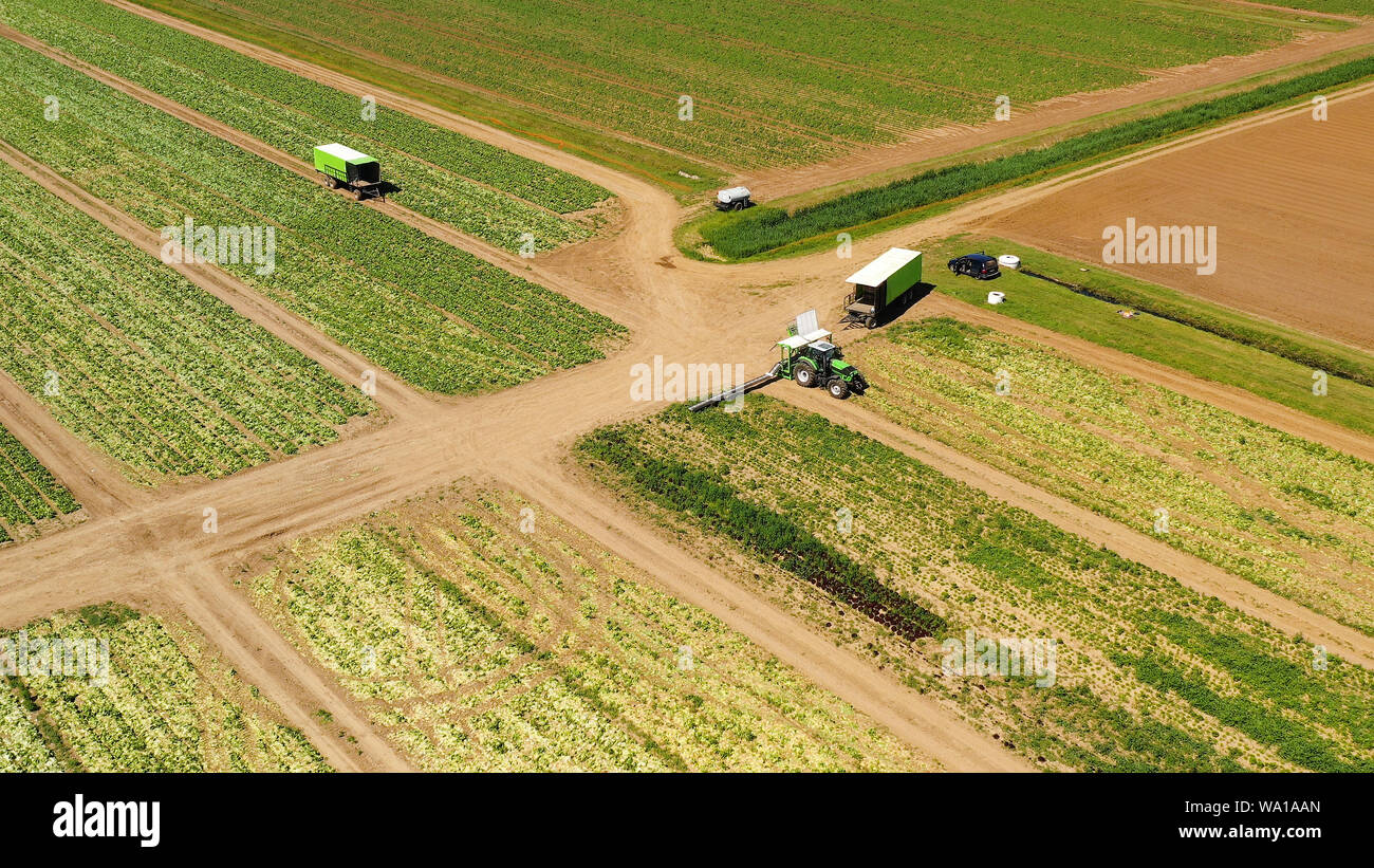 Agricultural land with with green crops and agricultural machinery top