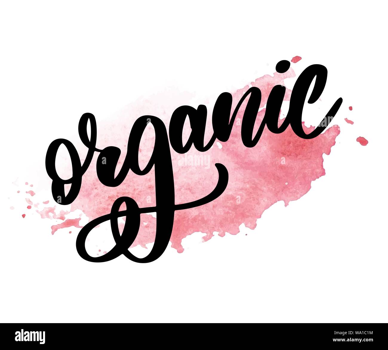 Collection of Green Healthy Organic Natural Eco Bio Food Products ...