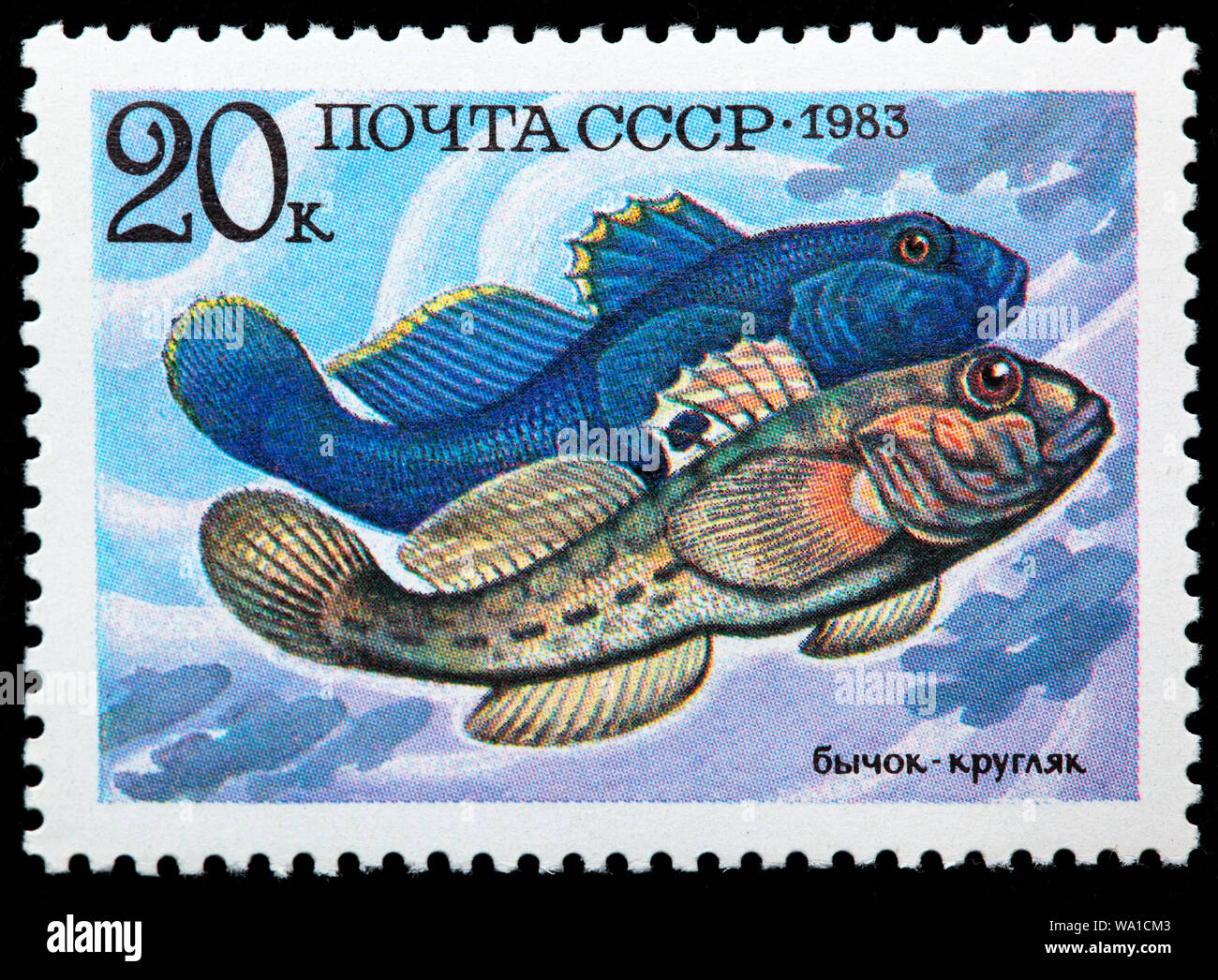 Neogobius melanostomus, Round Goby, fish, postage stamp, Russia, USSR, 1983 Stock Photo