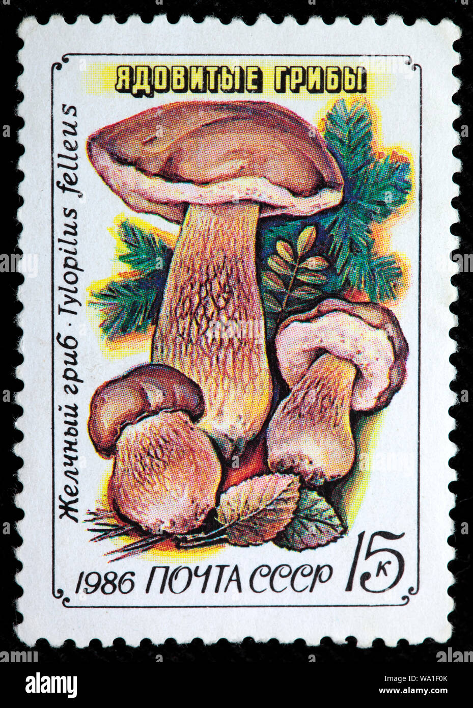 Tylopilus felleus, Bitter bollete, poisonous mushroom, postage stamp, Russia, USSR, 1986 Stock Photo