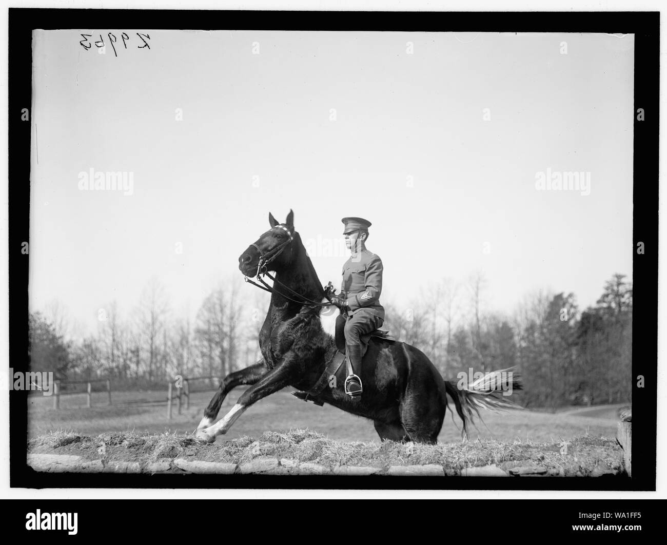Theodore barnes Cut Out Stock Images & Pictures - Alamy