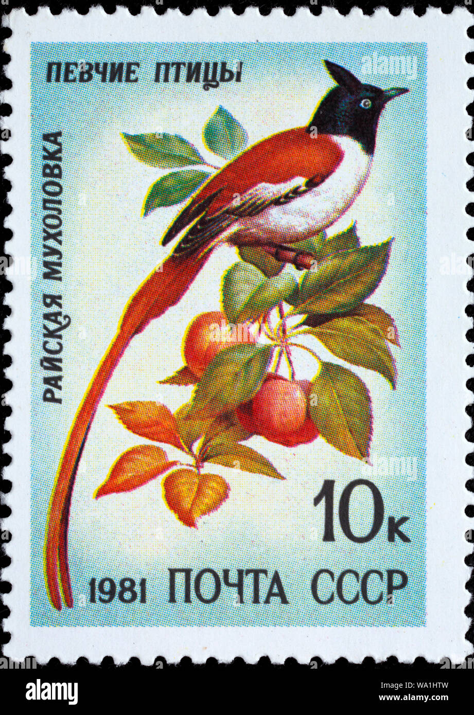 Indian Paradise Flycatcher, Terpsiphone paradisi, Song bird, postage stamp, Russia, USSR, 1981 Stock Photo