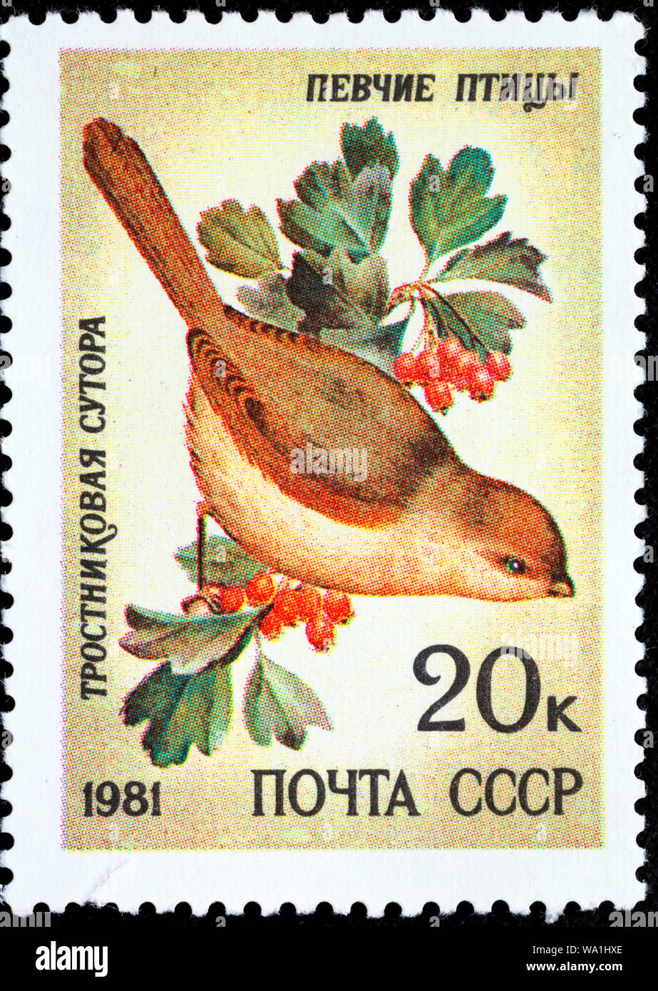 Vinous-throated Parrotbill, Paradoxornis webbianus, Song bird, postage stamp, Russia, USSR, 1981 Stock Photo