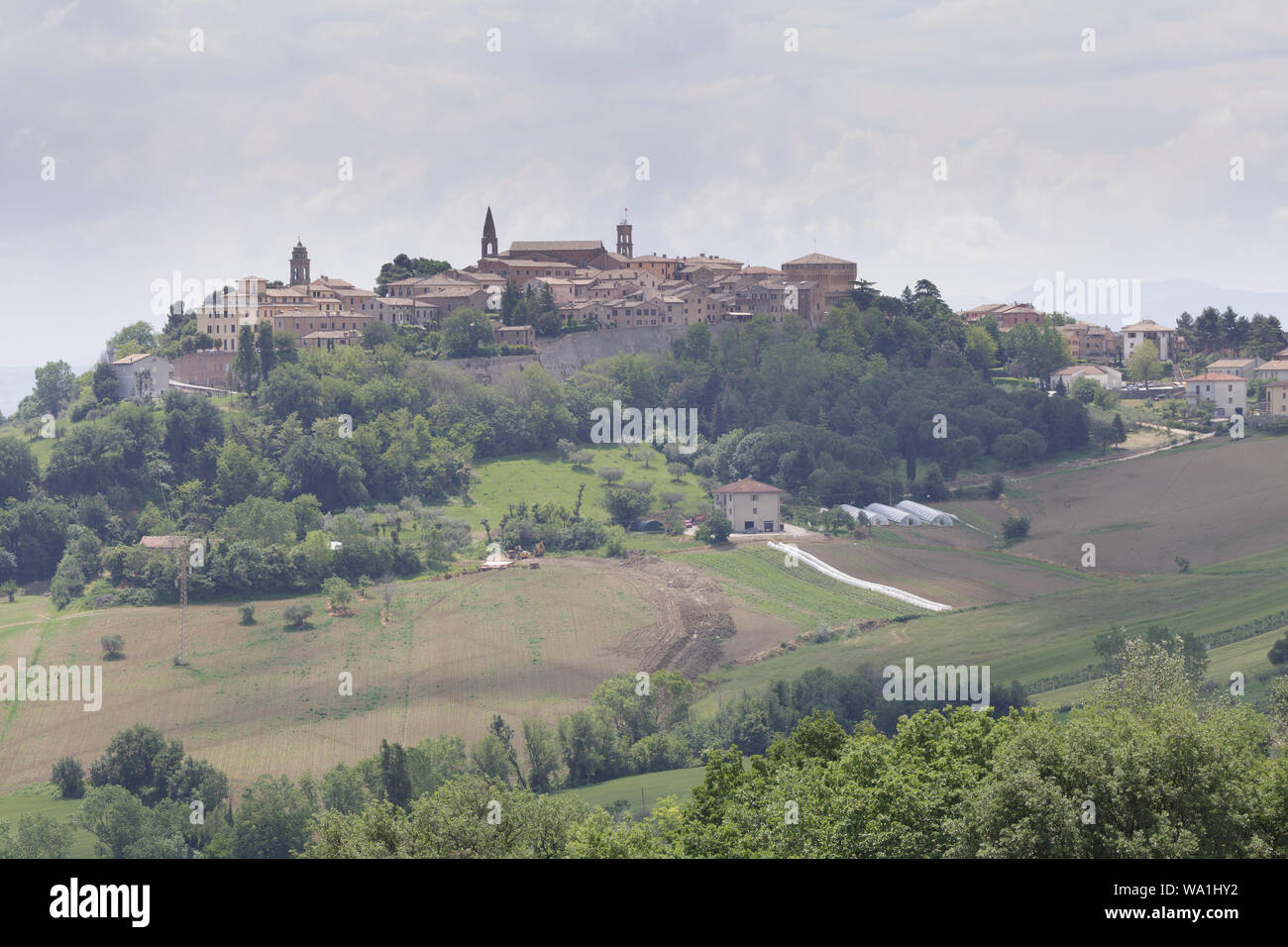 The small hilltop village of Mondavio in Le Marche, Italy. Stock Photo