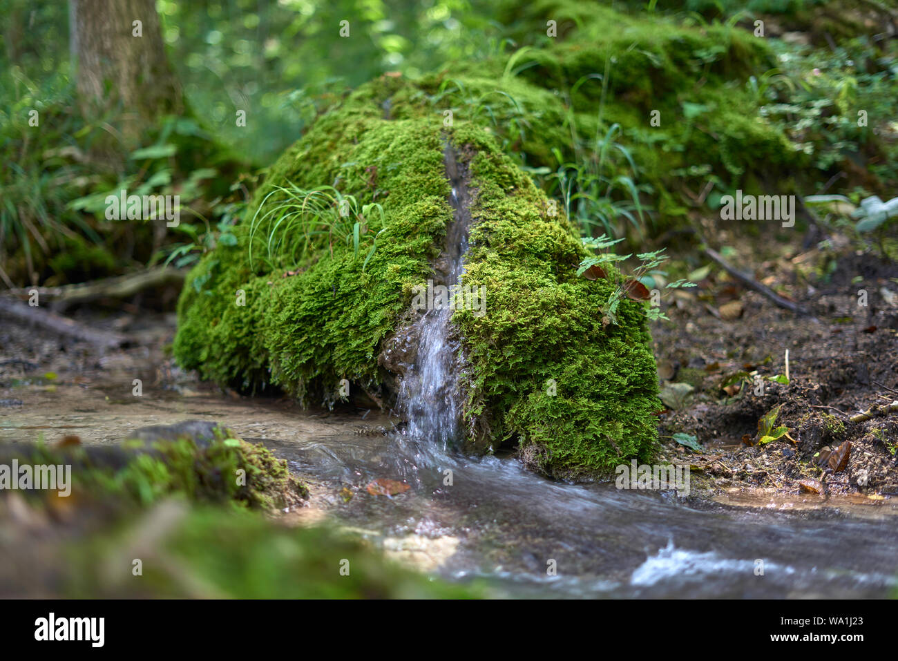 Steinerne rinne hi-res stock photography and images - Alamy