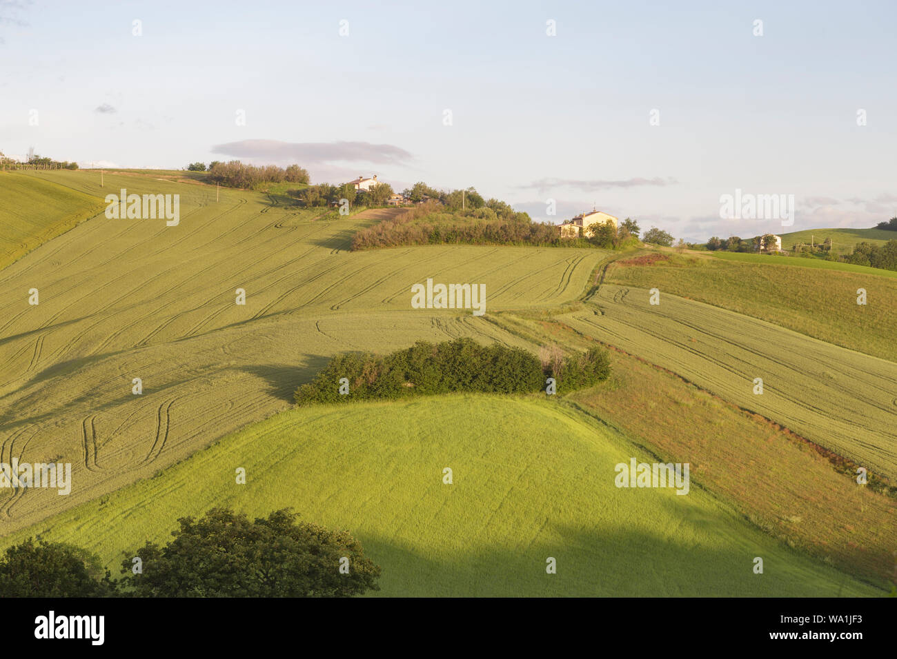 The rolling landscape of Le Marche in Italy. Stock Photo