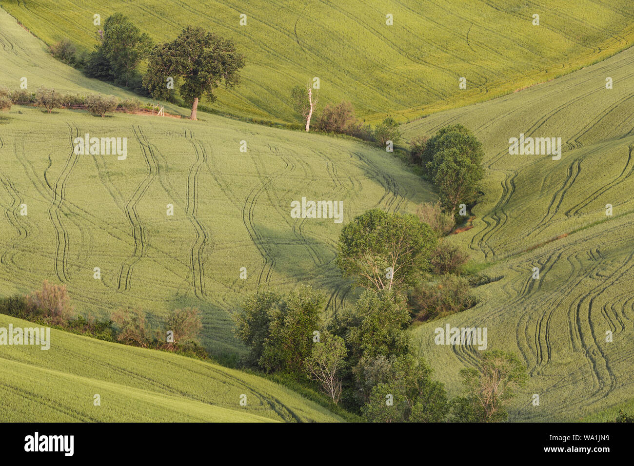 The rolling landscape of Le Marche in Italy. Stock Photo
