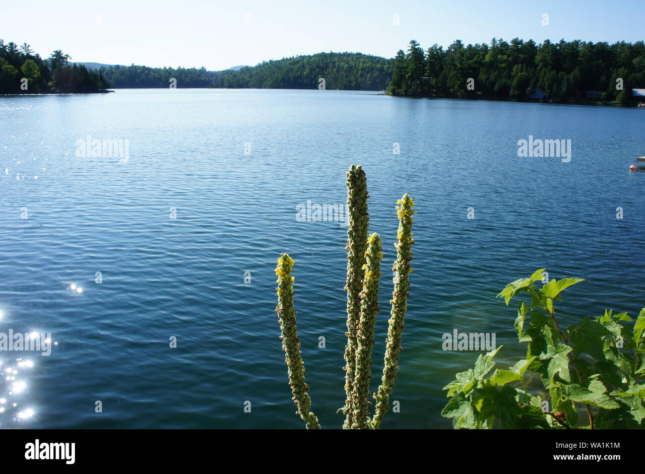 Nature, Landscapes, beautiful lake Tahoe, California, Quebec Stock Photo