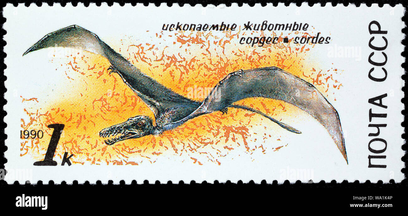 Sordes, Prehistoric animal, postage stamp, Russia, USSR, 1990 Stock Photo