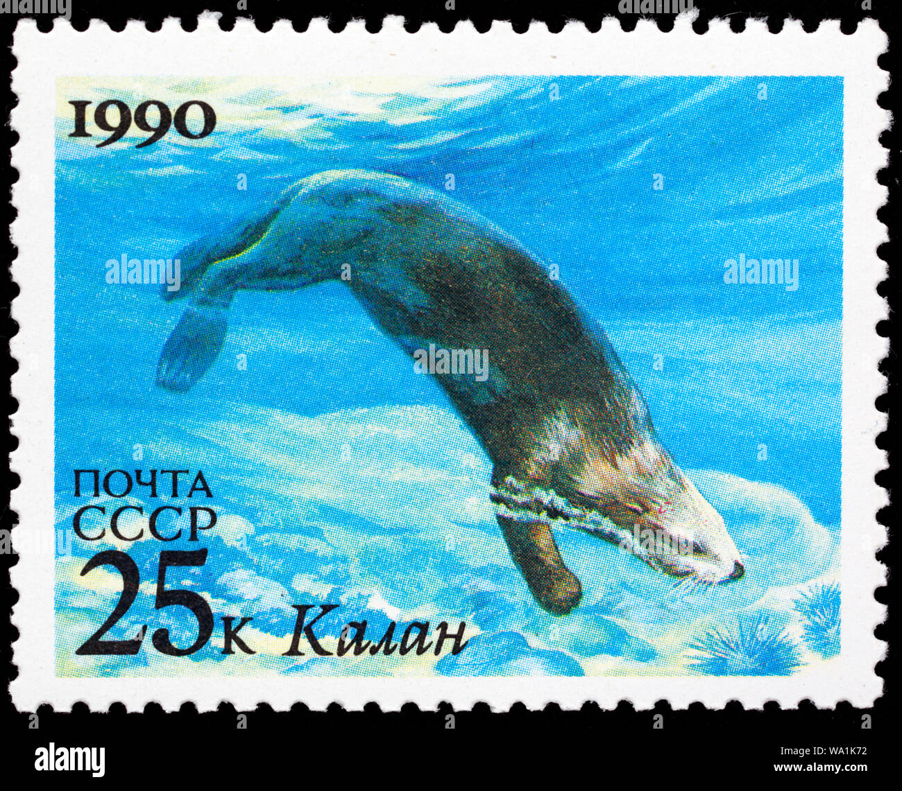 Sea otter, Enhydra lutris, postage stamp, Russia, USSR, 1990 Stock