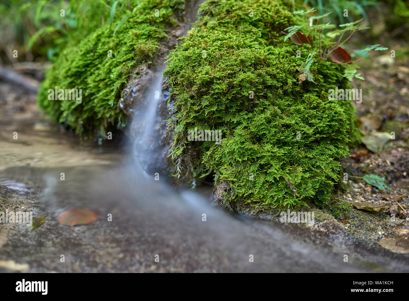 Steinerne rinne hi-res stock photography and images - Alamy