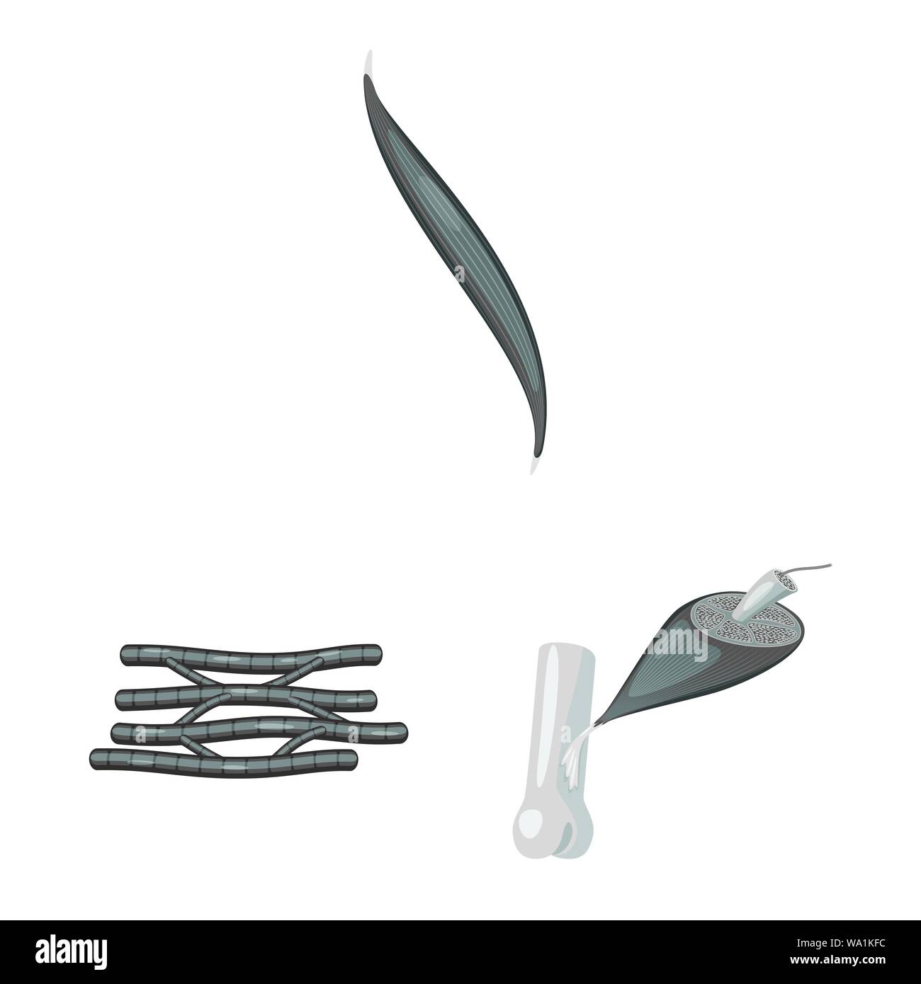 Vector design of human and body logo. Collection of human and cells ...