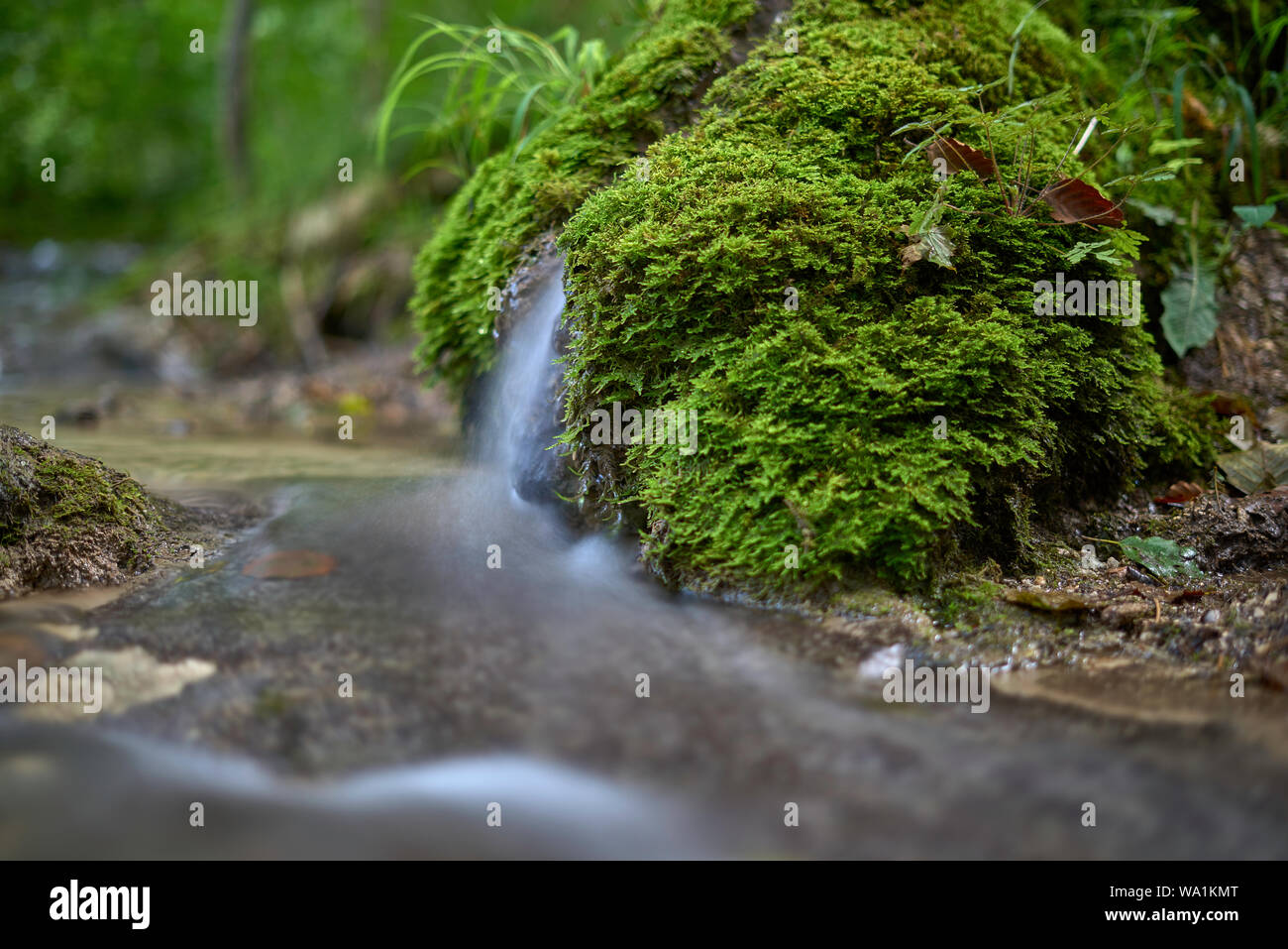 Steinerne rinne hi-res stock photography and images - Alamy
