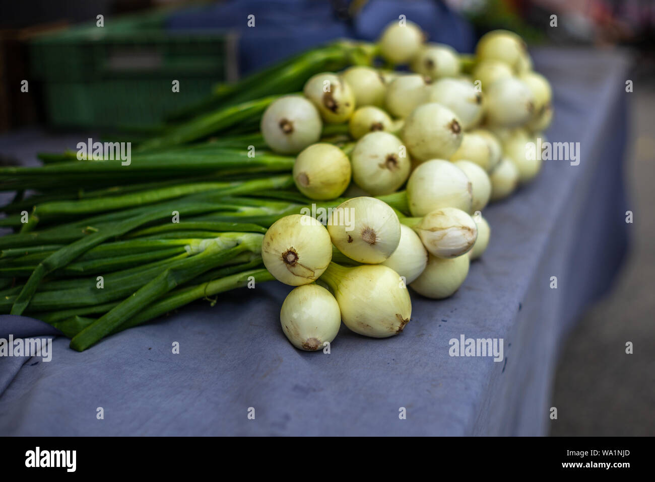 Fresh spring onions at a farmers' market in Savonlinna in Finland Stock ...
