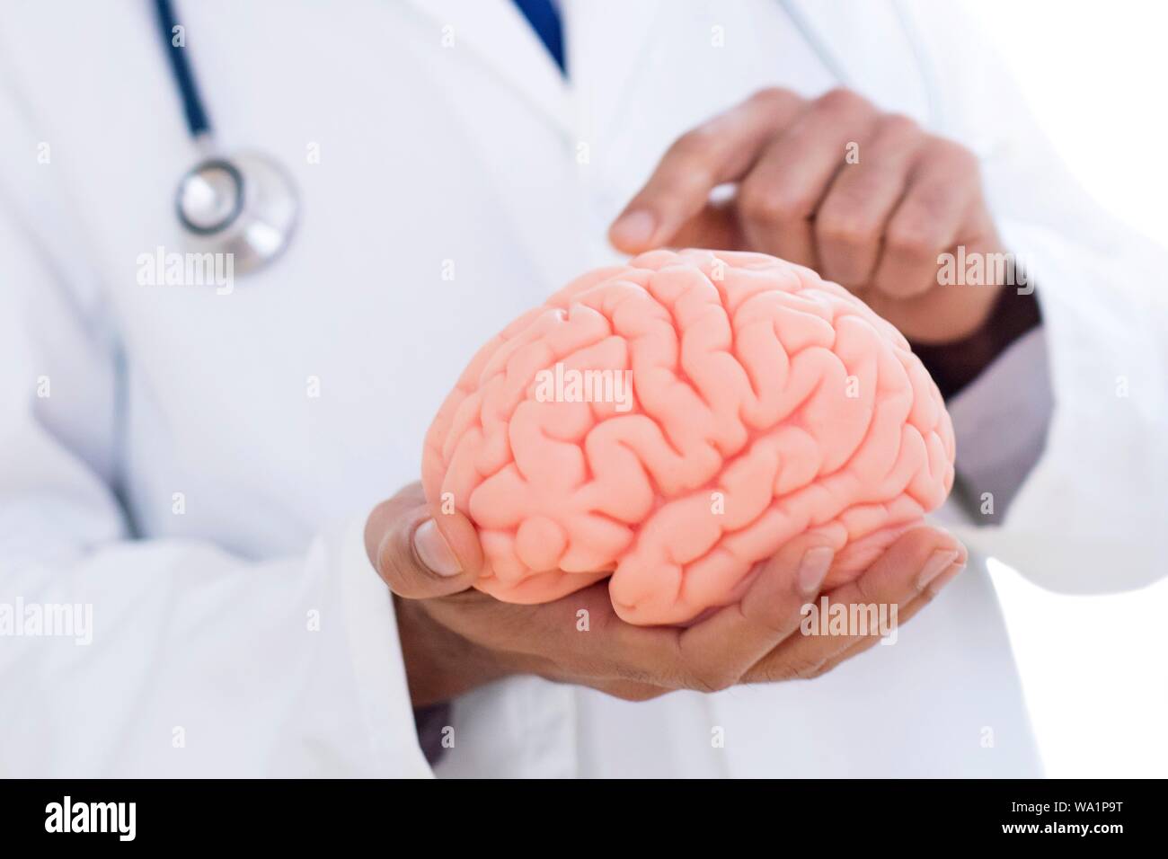 Neurologist pointing at brain model, close-up. Stock Photo