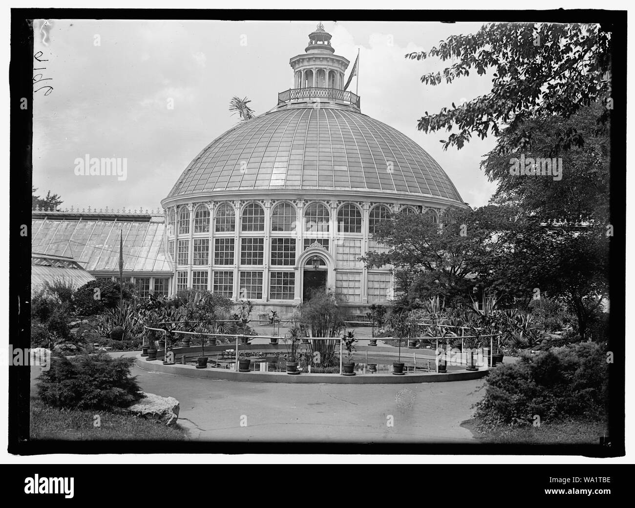 Ornamental gardens flowers plants Black and White Stock Photos & Images ...