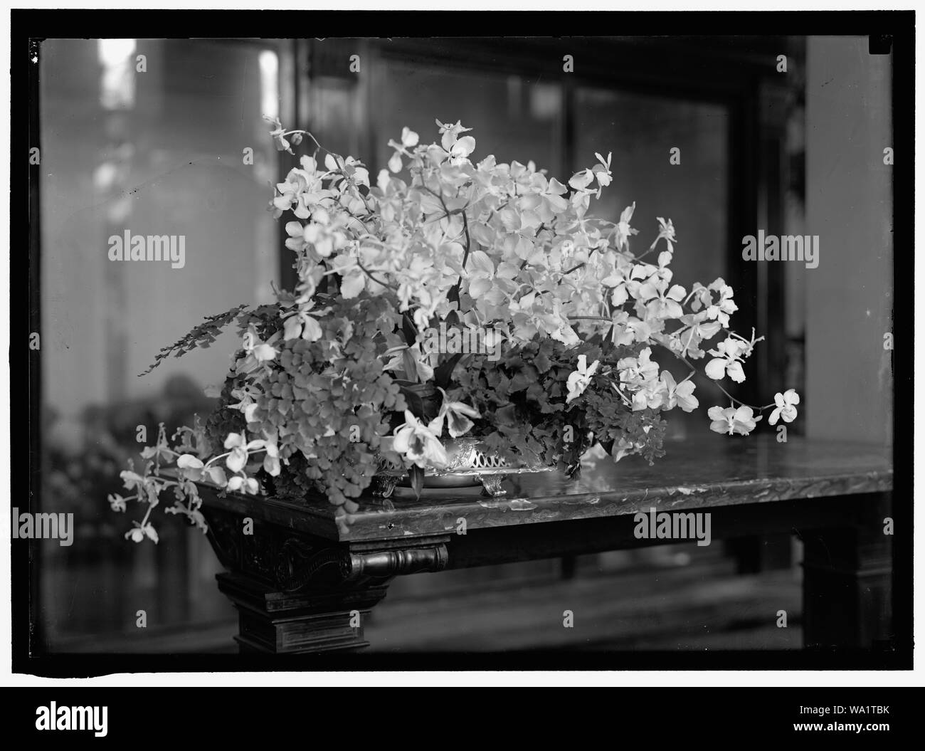 Beauty flower bouquet Black and White Stock Photos & Images - Alamy