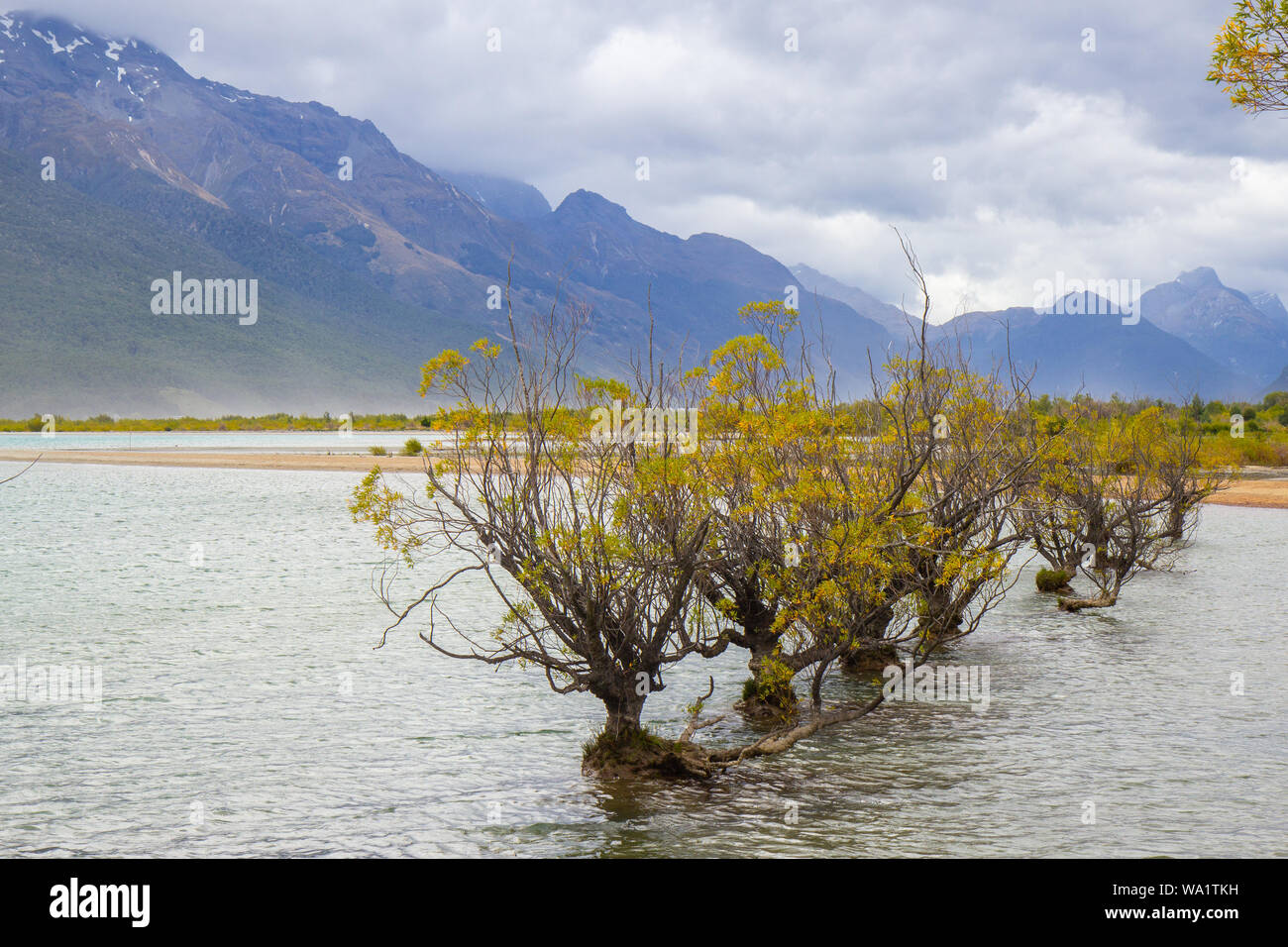 northern end of Lake Wakatipu in the South Island, New Zealand Stock ...