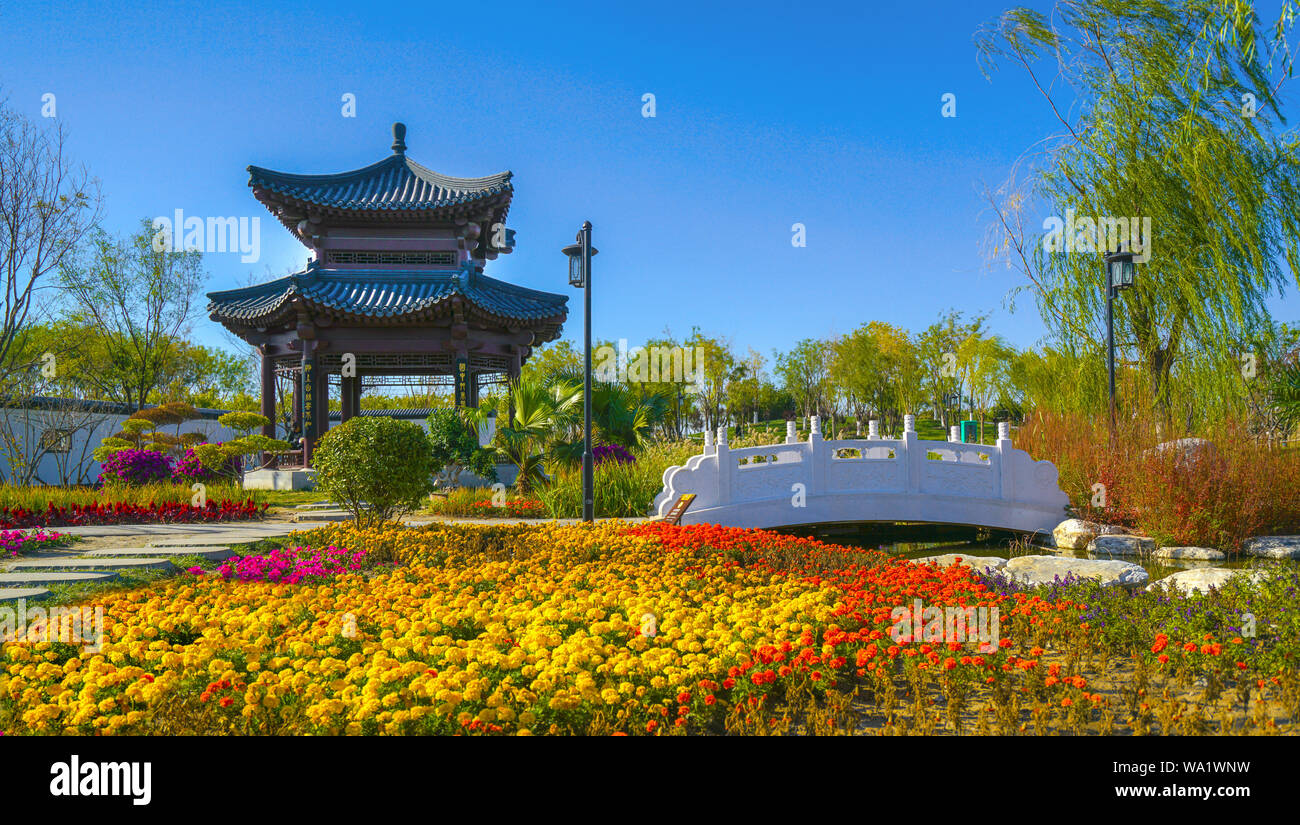 City park nature garden hi-res stock photography and images - Alamy