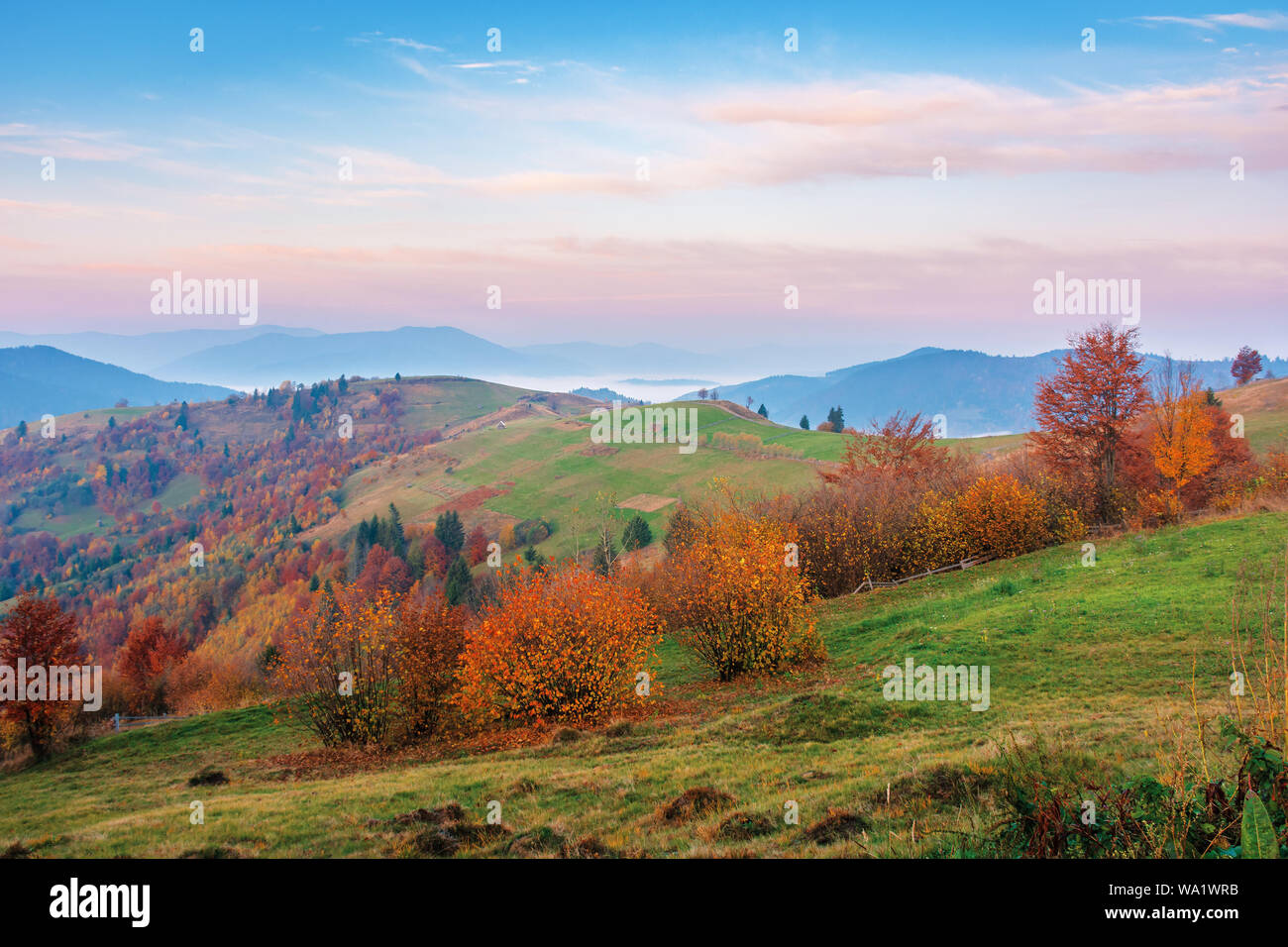 rural area in mountains at dawn. beautiful countryside autumn scenery ...