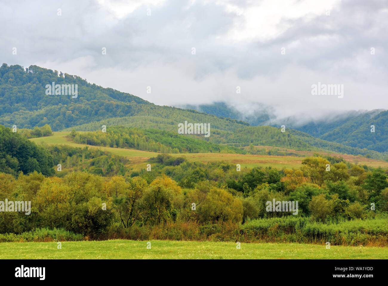 rural area in mountains at dawn. agricultural fields in early autumn. overcast rainy weather. traditional carpathian countryside Stock Photo