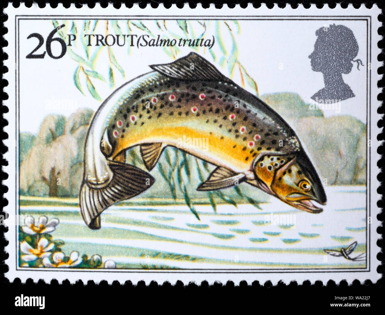 Salmo trutta, Brown Trout, freshwater fish, postage stamp, UK, 1983