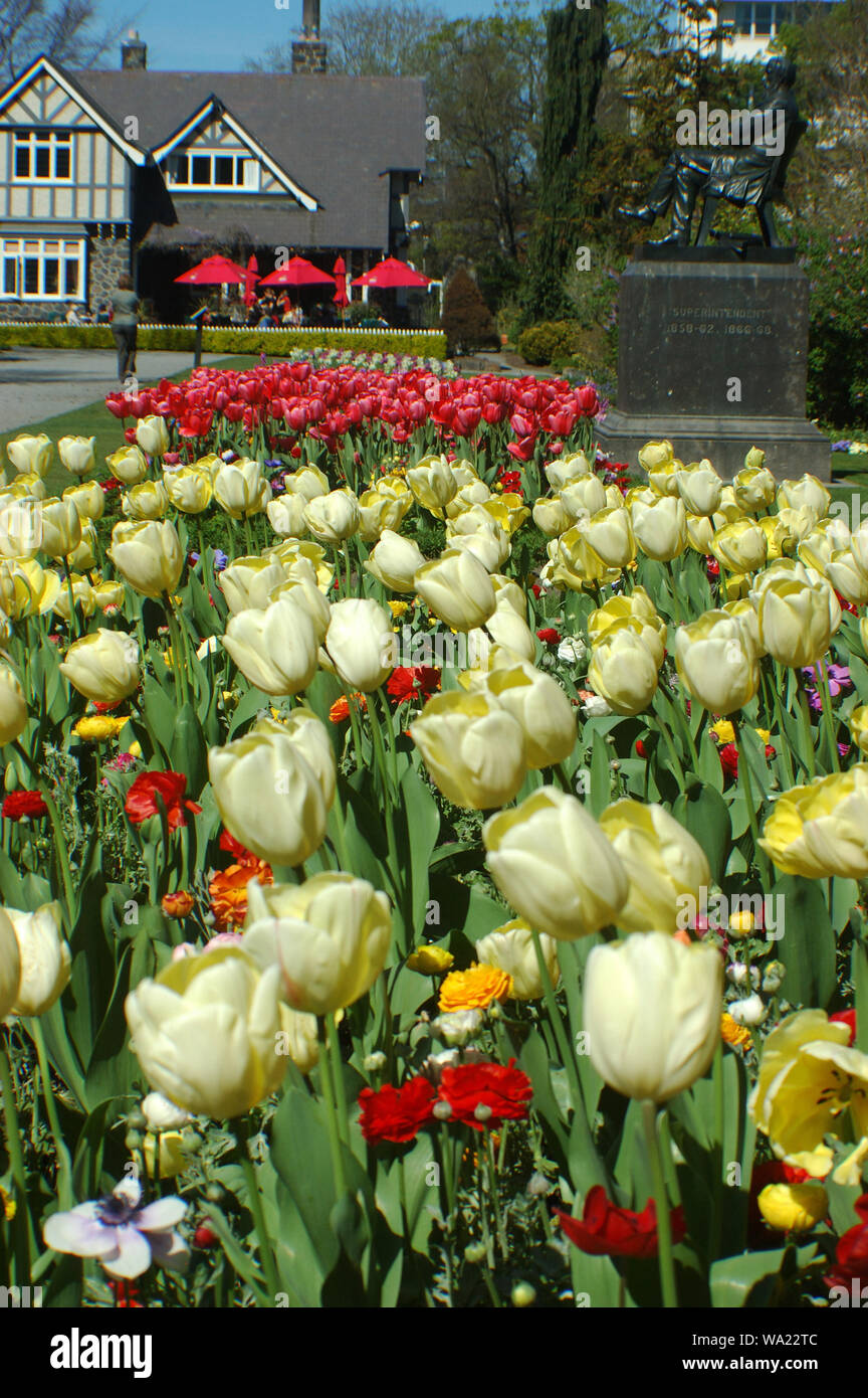 Christchurch botanical gardens canterbury garden gardens flowers hires