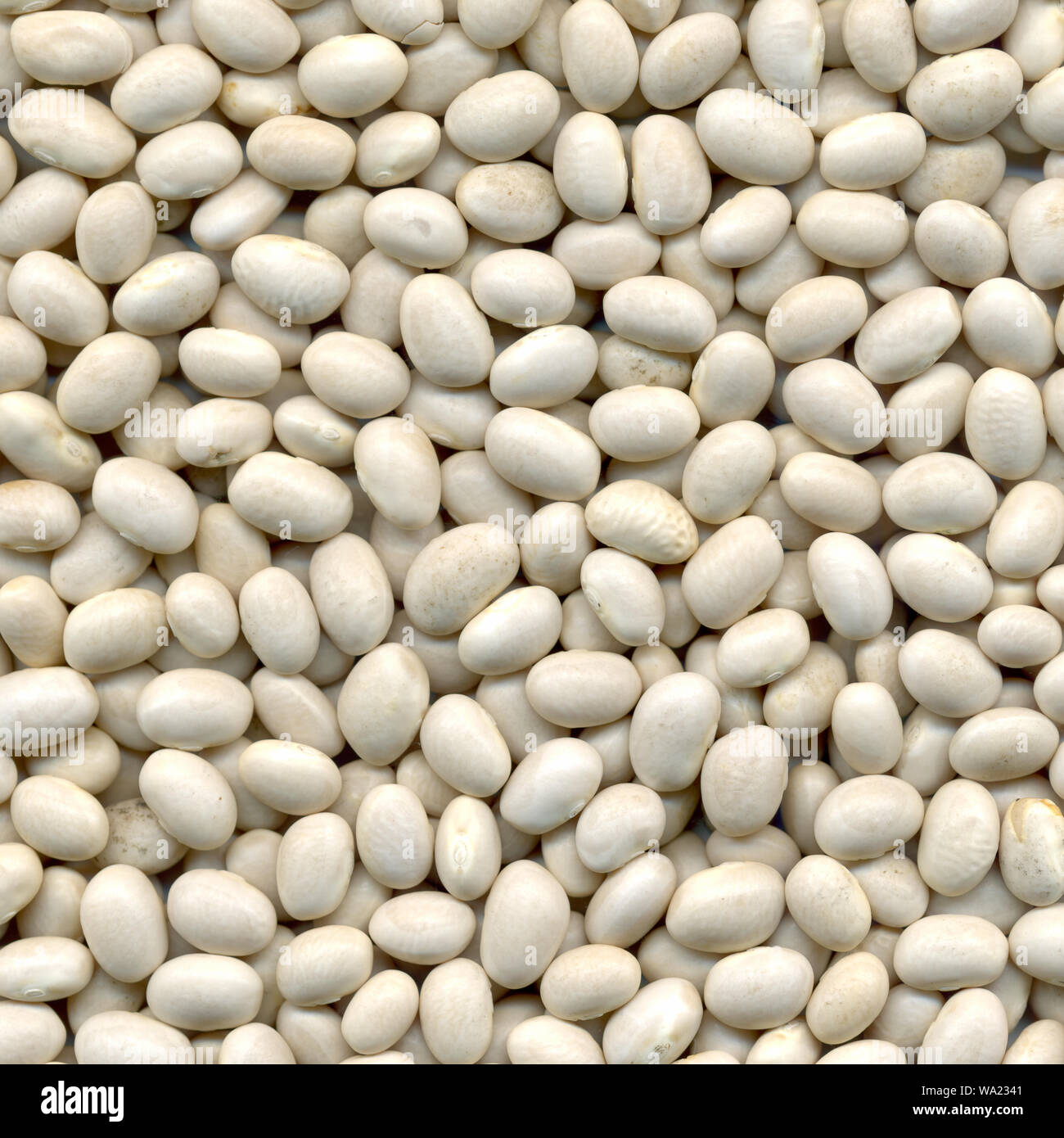 Real beans from the bag Stock Photo Alamy