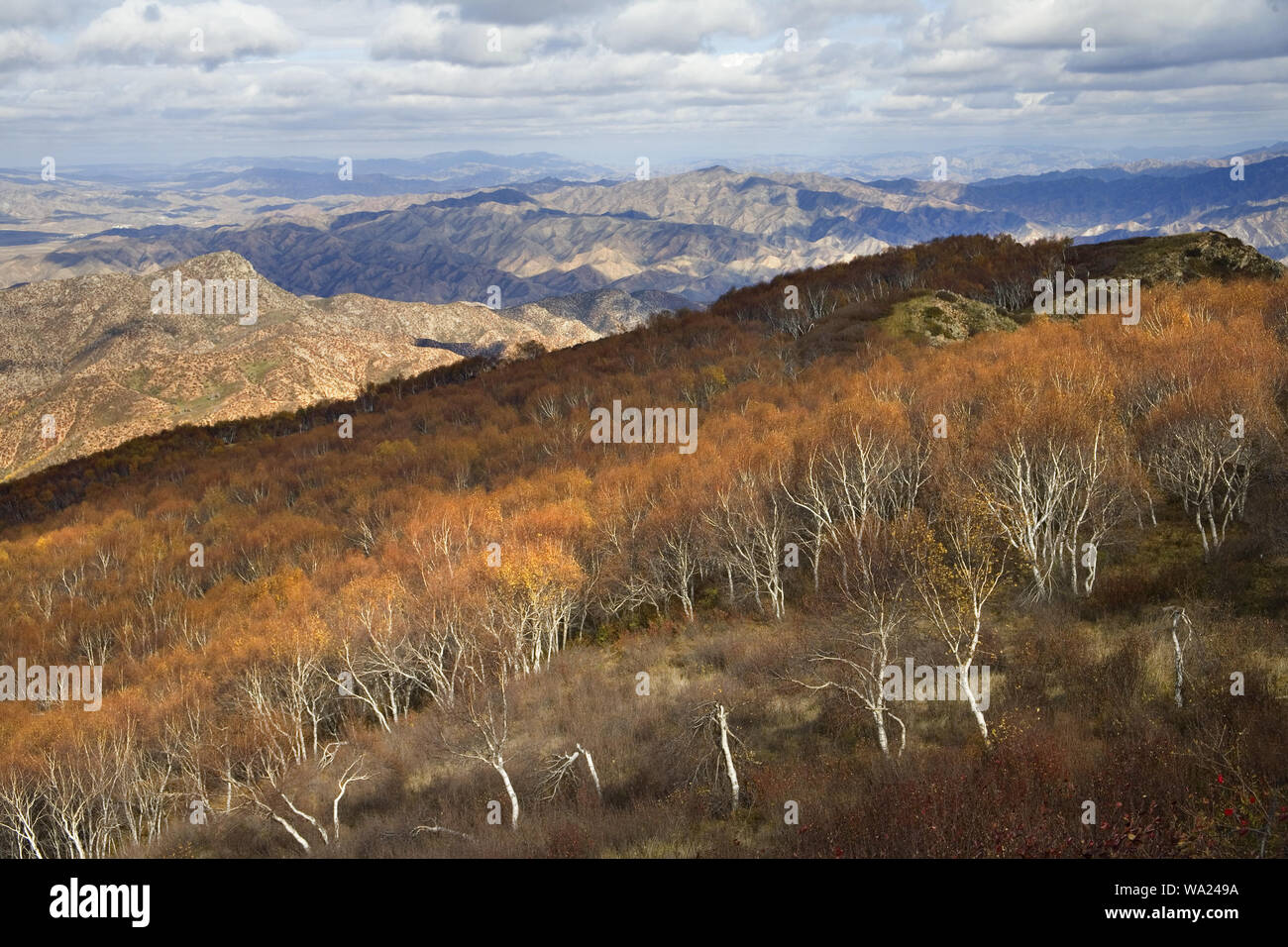 Ma shan hires stock photography and images Alamy