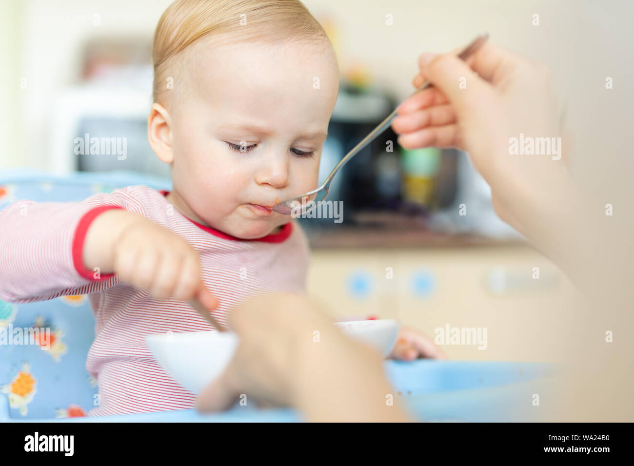 Adorable cute caucasian blond toddler boy eating tasty vegetable soup in chair at kithcen indoor