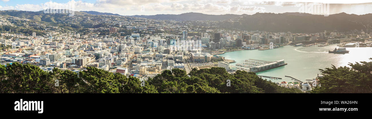 Wellington CBD Panorama Stock Photo