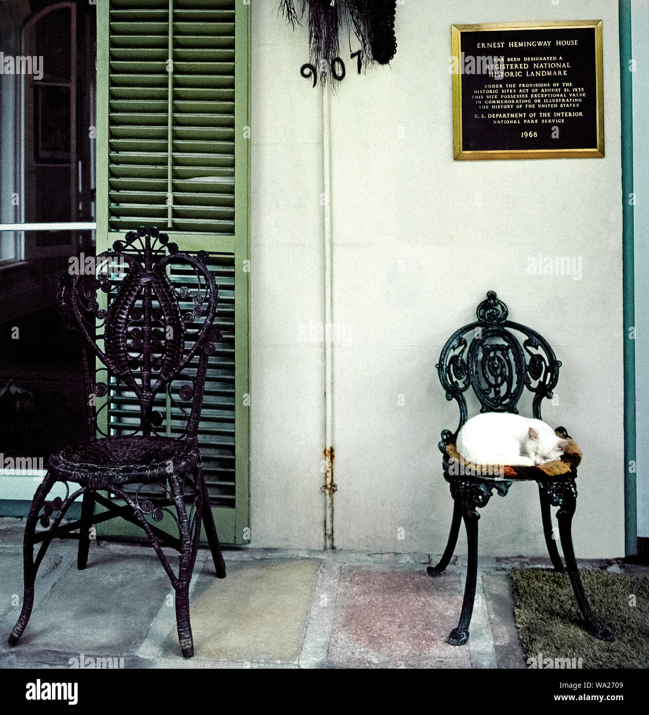 This sleepy cat resting outdoors on an old wrought-iron chair is one of dozens of felines roaming the residence of famed author Ernest Hemingway who lived from 1931-39 at 907 Whitehead Street in Key West in the Florida Keys, Florida, USA. Many of these descendants of Hemingway's furry pets are polydactyl cats that have six toes instead of the usual five toes on their front paws and four toes on the back paws. These unusual animals can be seen by visitors at the privately-owned Hemingway House, which was built in 1851 and now is a U.S. National Historic Landmark open daily for tours. Stock Photo