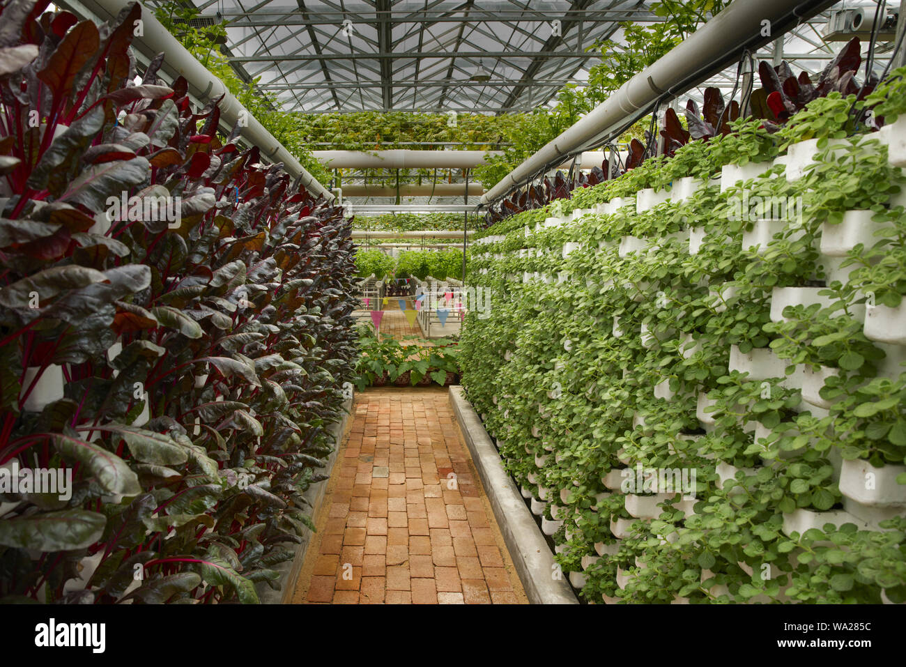 Planting a vegetable garden hi-res stock photography and images - Alamy