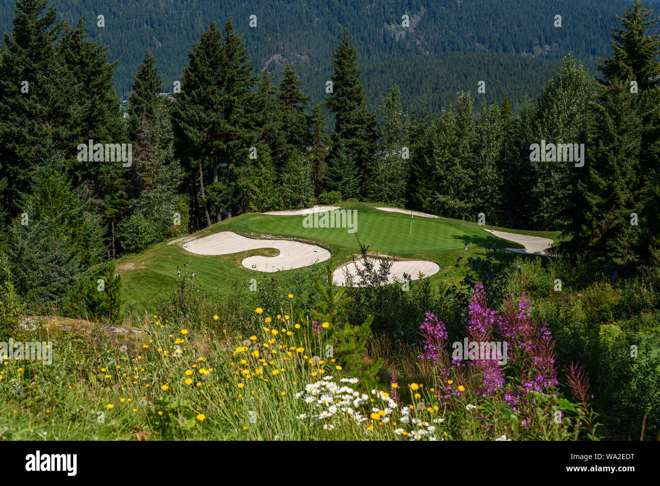 WHISTLER, BC/CANADA – AUGUST 3, 2019: Fairmont Chateau Whistler Golf Club,  sunny day on tee box looking down at a green surrounded by sand traps Stock  Photo - Alamy