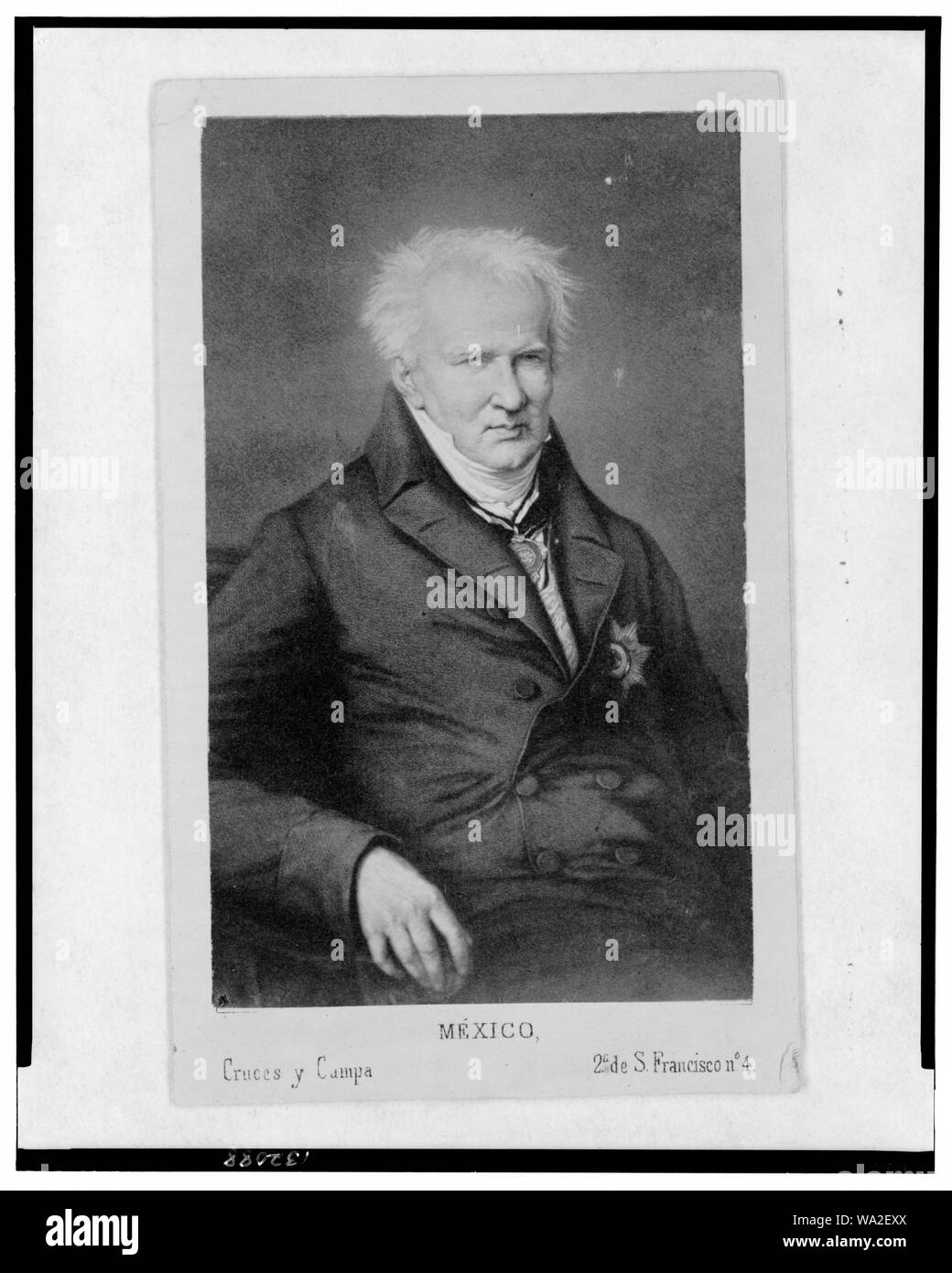 Baron Alexander von Humboldt, half-length portrait, facing front Stock Photo