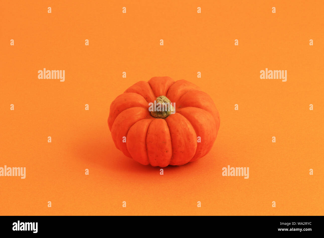 Orange background and orange pumpkin Stock Photo - Alamy