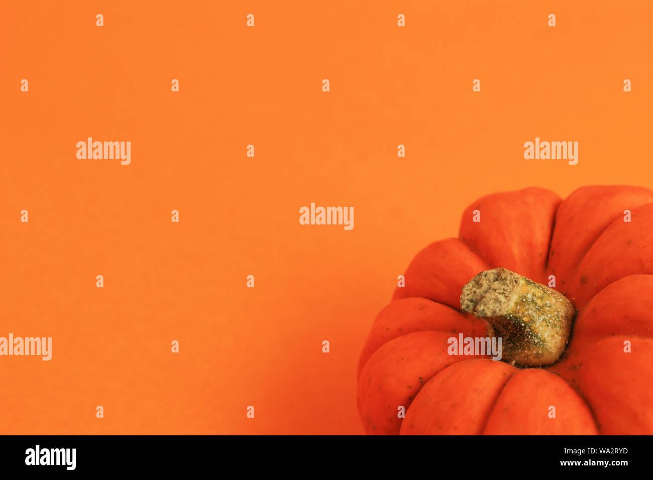 Orange background and orange pumpkin Stock Photo - Alamy