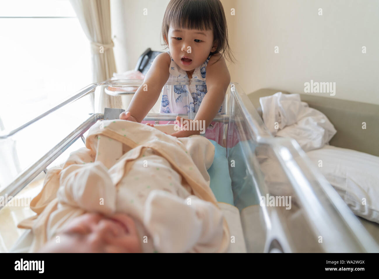 Asian little sister take care her newborn brother. Cute girl and new born baby boy relax inside hospital crib after birth. Toddler kid meeting new sib Stock Photo